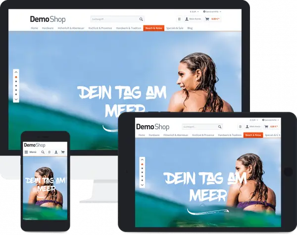 Shopware Warenwirtschaft desk4