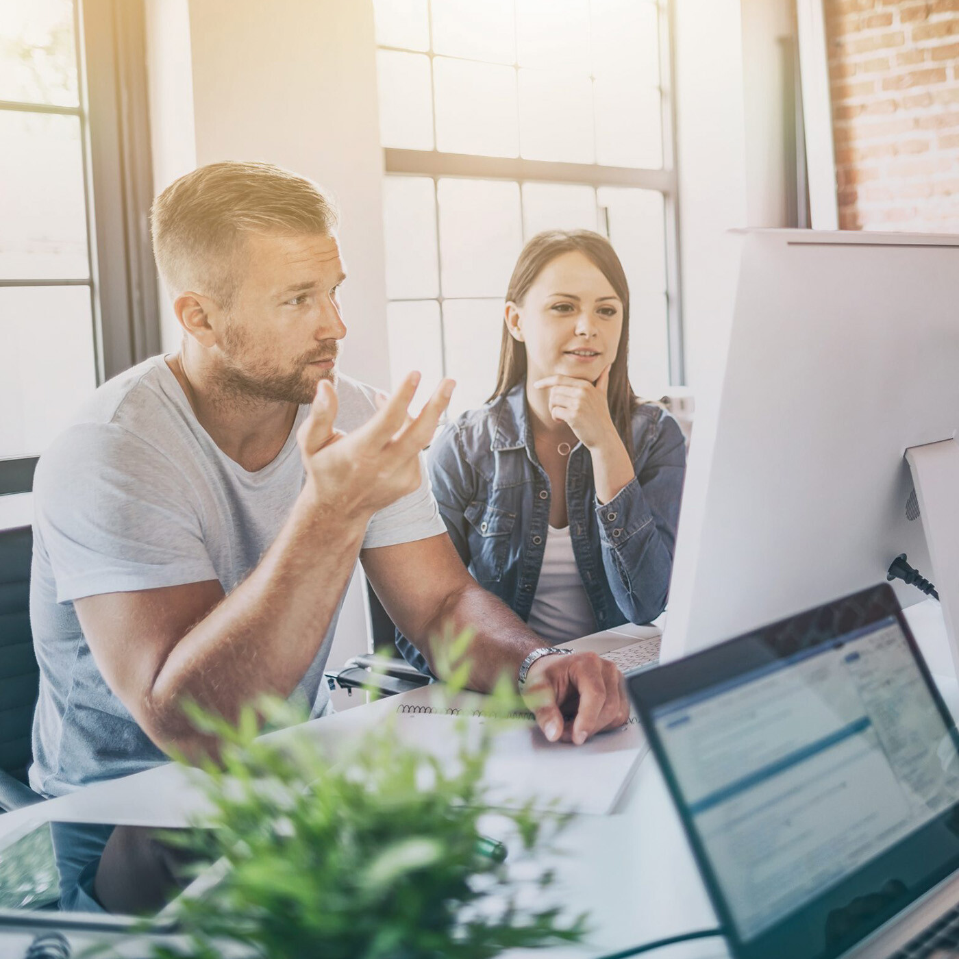 Live-Schaltung und Betreuung